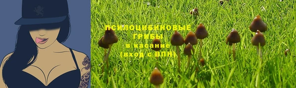 ALPHA-PVP Армянск