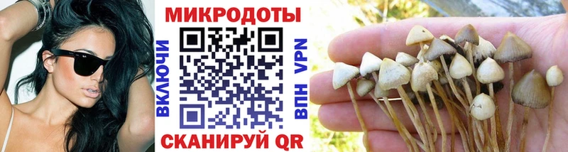 Галлюциногенные грибы мицелий  наркошоп  Ирбит 